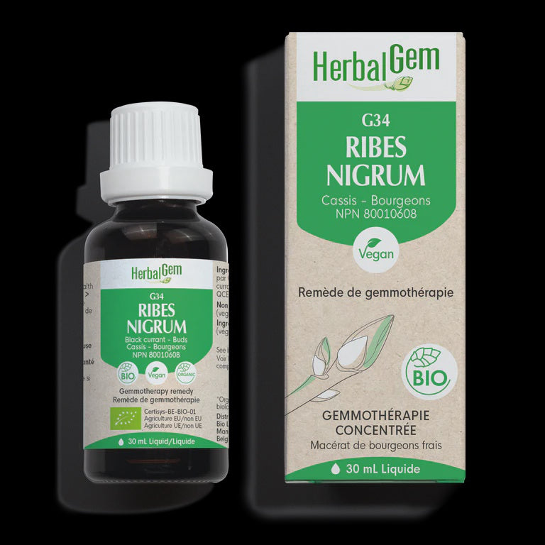 HG - G34 Ribes Nigrum 50ml