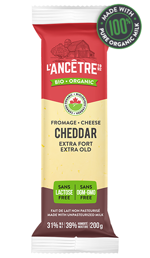 Cheddar XFort Sans Lactose 200g